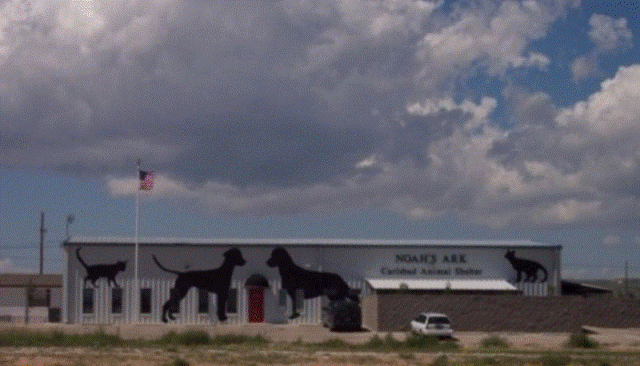 Noah's Ark Animal Shelter